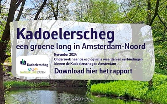 Ankeiler eindrapport Kadoelerscheg - een groene long in Amsterdam-Noord-klein.webp