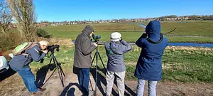 kijken vanaf de dijk.webp