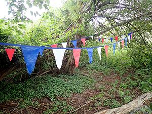 Serie-4-06 slingers.webp