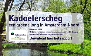 Ankeiler eindrapport Kadoelerscheg - een groene long in Amsterdam-Noord-klein.webp