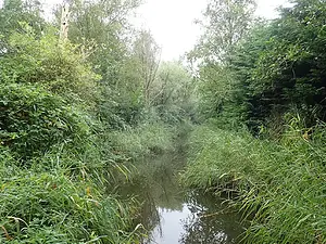 de-kadoelerbreek-gefotografeerd-door-buurtbewoner-tello-nec kopie.webp