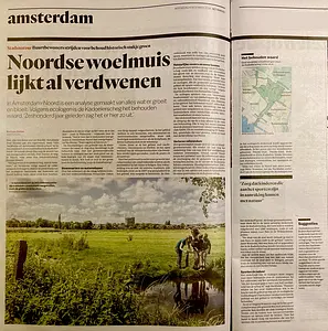 Krantenartikel Parool.webp