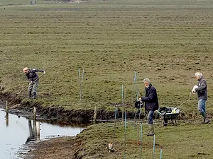 Vossenraster wordt aangelegd door Nynke, Tom en Michiel (foto: Pieter Divendal).webp