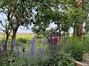 2025-Open tuinen.webp