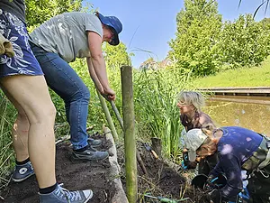 IJsvogelwand 1 in de maak.webp