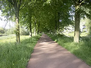 K-scheg-05-Dijk Banne Buiksloot.webp