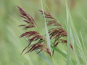 QR-paaltje4 Riet Tello Neckheim.webp