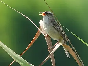 QR-paaltje8 Rietzanger Pieter Divendal .webp