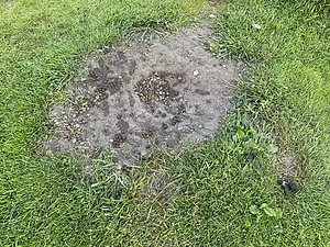 QR-paaltje11 Konijnenlatrine Henk van Alst.webp