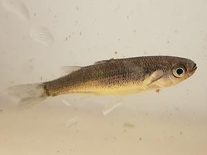 QR-paal1 Harder-jong.webp