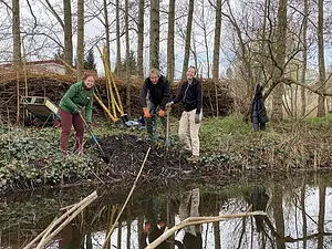 aanleg ijsvogelwand bongerd.webp
