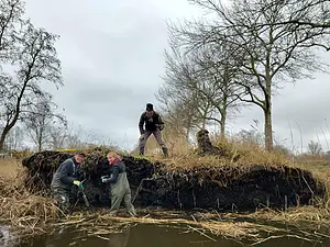 ijsvogelwand 91.webp