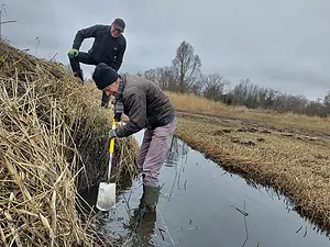 ijsvogelwand 93-2.webp