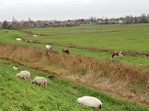 Landsmeerderdijk.webp