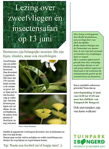 Lezing over zweefvliegen én insectensafari-def2.webp