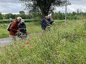 Michiel-Nynke-Tello en Harry-2026-06-04.webp