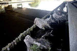 Ecologische verbinding Twiskebrug-LR 2024_04_25