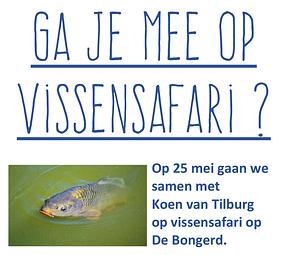 Ga je mee op Vissensafari-CORR.webp