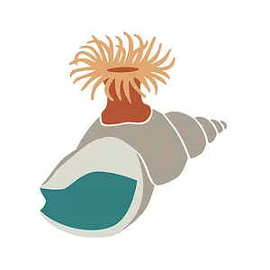 Stichting Anemoon vierkant-LR.webp