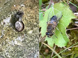 Doorlopend inventarisatie onderzoek5.webp