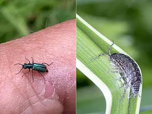 Doorlopend inventarisatie onderzoek6.webp