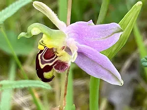 Doorlopend inventarisatie onderzoek.webp