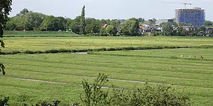 Wilmkebreekpolder.webp