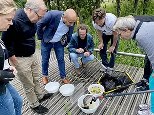 Vis- en slakkeninventarisatie met Koen en Tello.webp