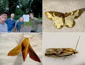 Nachtvlinders 1 en 22.jpg