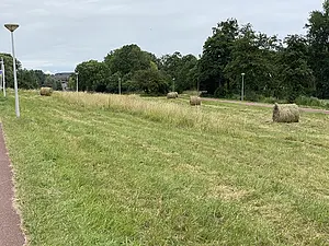 Beheer-Buiksloterdijk Kadoelerscheg kopie