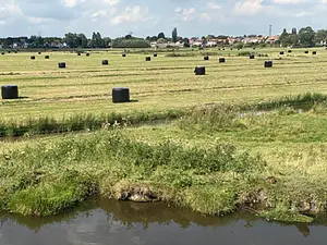 polder met balen