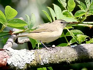 Bsloterbreekpark 02 tjiftjaf 11-8-2024 (3) kopie.webp